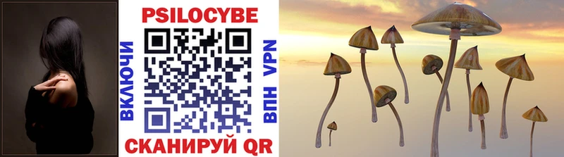 где купить   Елабуга  гидра как войти  Псилоцибиновые грибы MAGIC MUSHROOMS 